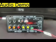 Amplifier Board D10-II for 4 Ohm 40W Speaker 110V 220V 12V 24V Subwoofer Audio Module