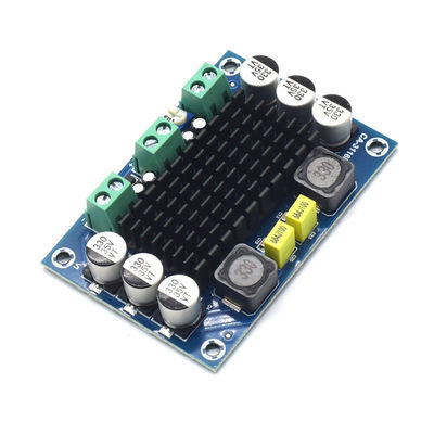 CA-3116D Original 100W Mono Audio Amplifier Board with TPA3116D2 Chip and 12-24V Input