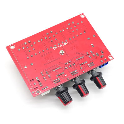 CA-3116P Digital Amplifier Module with TPA3116D2 Chip 50Wx2+100W Output and DC12-24V Voltage