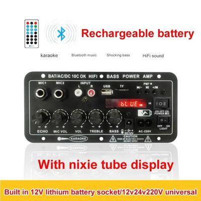 24V/220V Car Amplifier Mono Audio Amplifier with 120W Power Dual Microphone and Bluetooth for Subwoofer and Karaoke