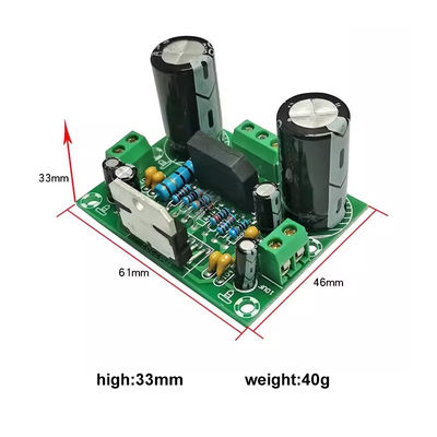 100W Mono Amplifier Board with Dual AC12-32V Power Supply for 2 Channels