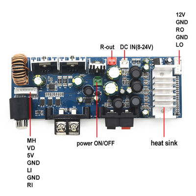CA-3116AS Professional 2.0 Channel Digital Subwoofer Amplifier Board 2*100W 8-24V Mini TPA3116 for Home Sound