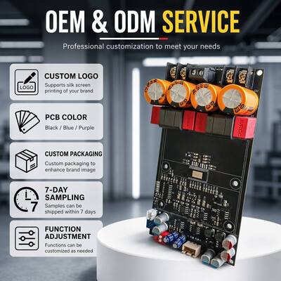 3002 Pure Post-Stage Digital Amplifier Board High Power TPA3255 Stereo/Bridge-Mono 600W Made in China
