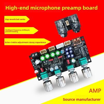 AMP Mike Front Power Amplifier Board Karaoke Reverb Board Microphone K Song Singing DSP Mixing Anti-Howling Made in China