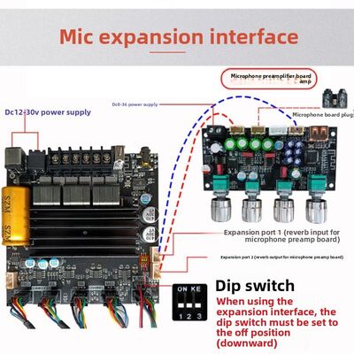 ST21 High-Pass for Digital Amplifier Lead Wires 21 Channel 100W X 2 + 200W Original TPA3221 Chip China Audio