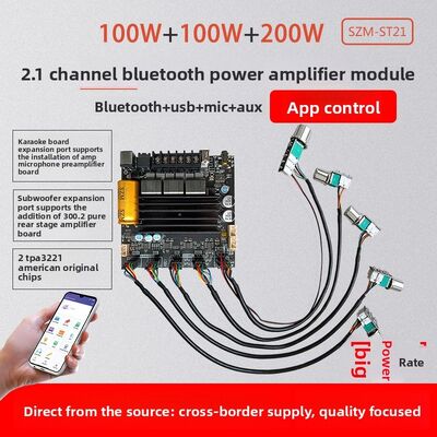 ST21 High-Pass for Digital Amplifier Lead Wires 21 Channel 100W X 2 + 200W Original TPA3221 Chip China Audio