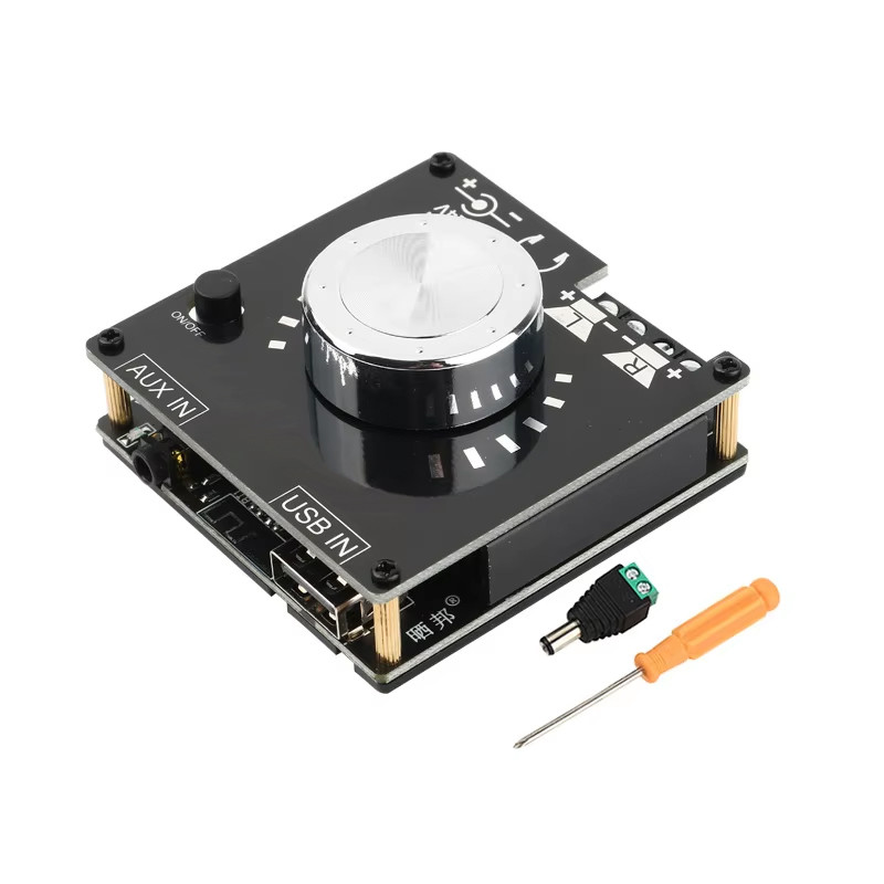 Plifier Module Bt BT 5.0 Digital Power Amplifier Board 100W*2 Stereo Mini DIY Audio ...